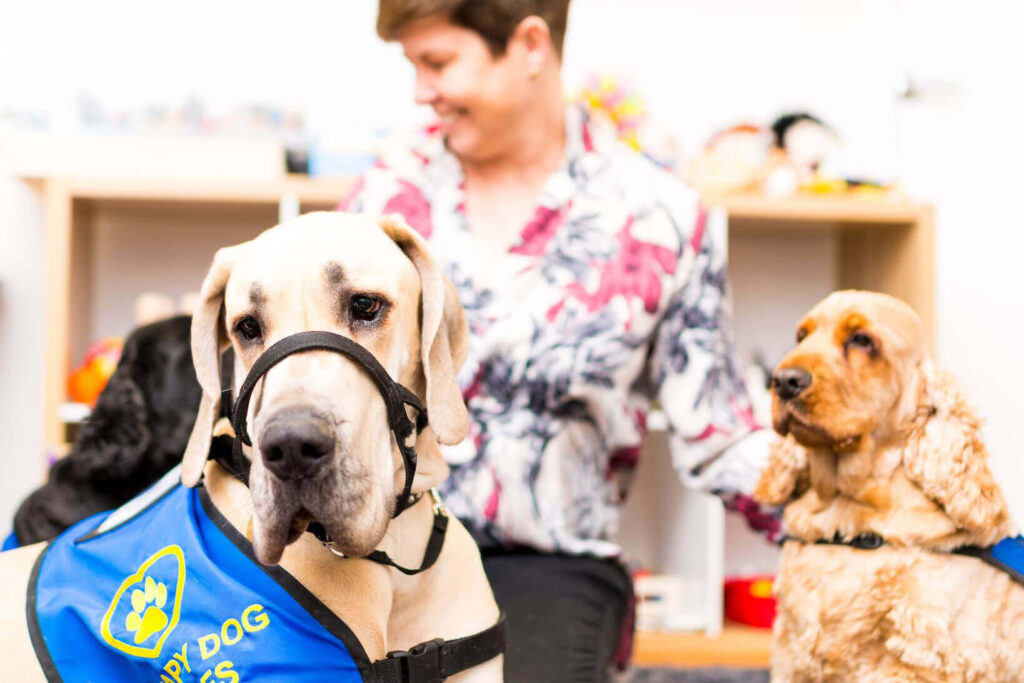 Animal Assisted Play Therapy Moorabbin and South East Bayside Melbourne